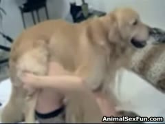 Fun animal sex with a gorgeous female with a big brown dog